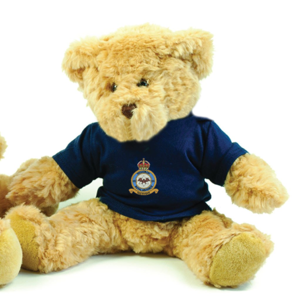 Embroidered T- Shirt Bear - 40.5cm Tall - AIR153