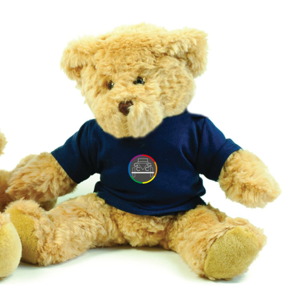 Embroidered T- Shirt Bear - 40.5cm Tall - GCCG - Image 3