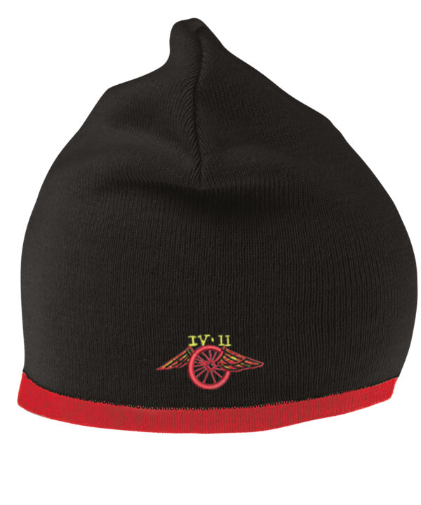 Beanie - T42C