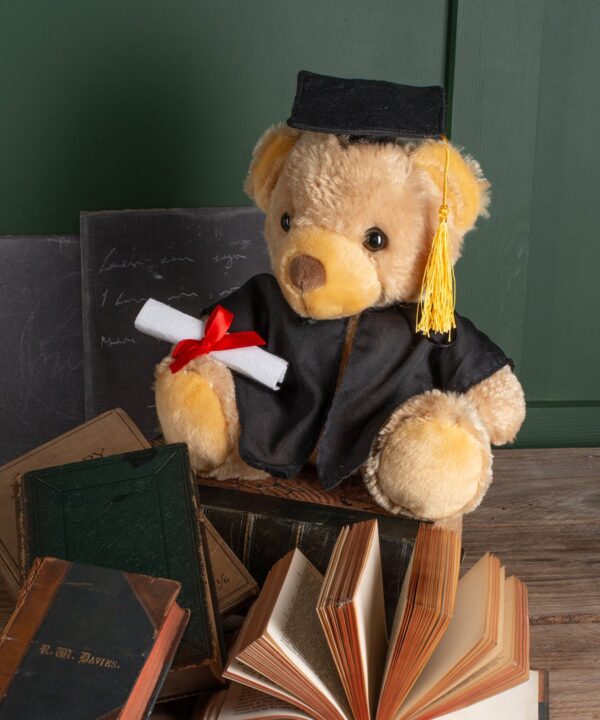Embroidered Graduation Bear - 23cm Tall - Leavers