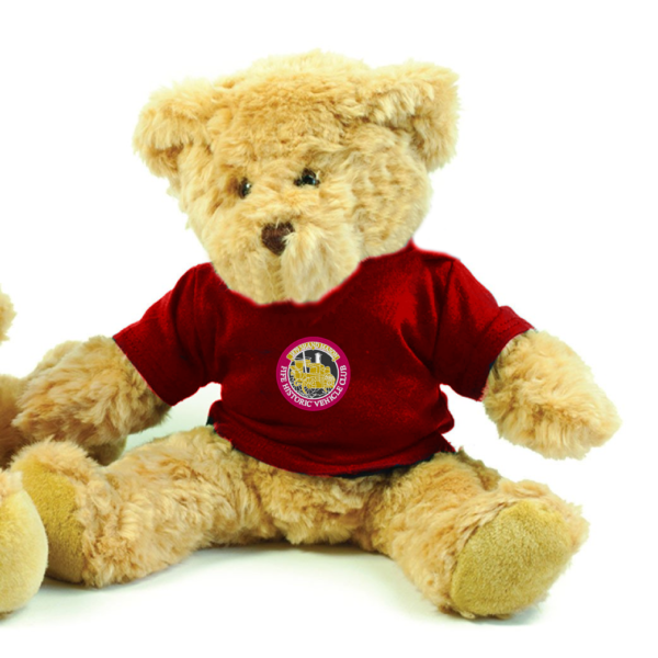 Embroidered T- Shirt Bear - 40.5cm Tall - FIFE - Image 3