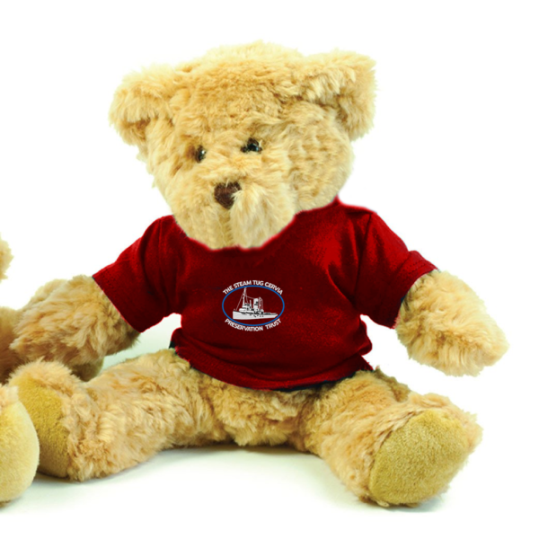 Embroidered T- Shirt Bear - 40.5cm Tall - STEAM - Image 2