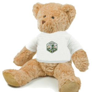 Embroidered T- Shirt Bear - 40.5cm Tall - ROMFORD